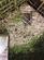 Llanfynydd SA32 photo 5