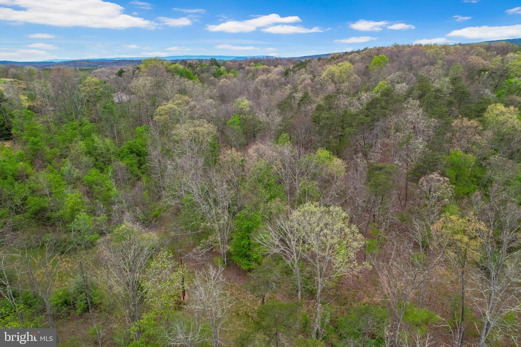 Additional image 28 of Bear Hill Road SE, Oldtown, MD 21555