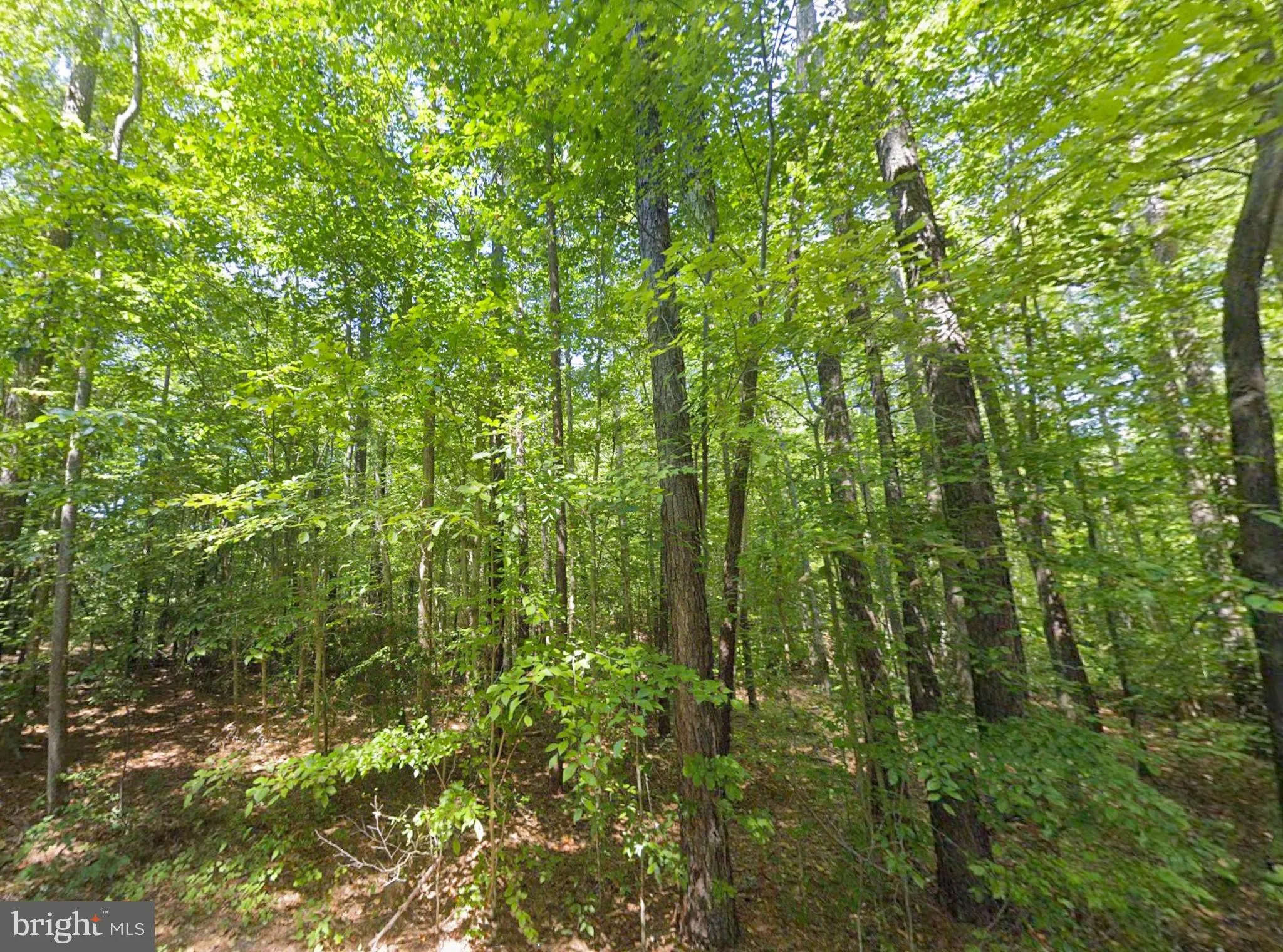 Additional image 17 of 8944 Jessie Dupont Memorial Highway, Kilmarnock, VA 22482
