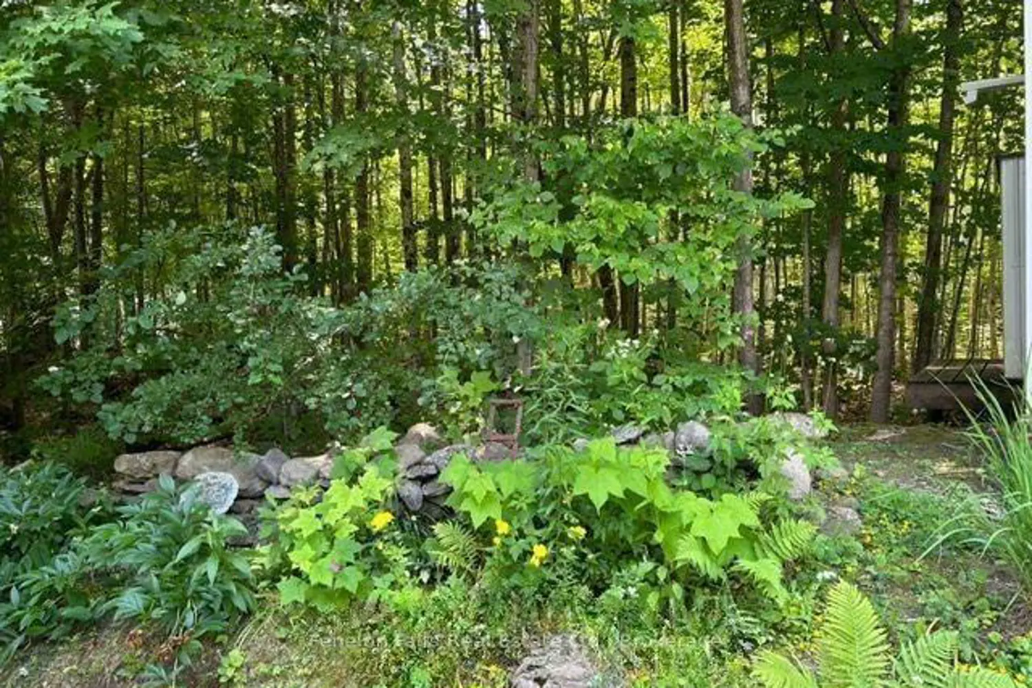 Additional image 13 of 1802 County Road 121 Road Lot 312