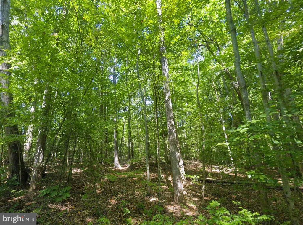 Additional image 5 of 8944 Jessie Dupont Memorial Highway, Kilmarnock, VA 22482