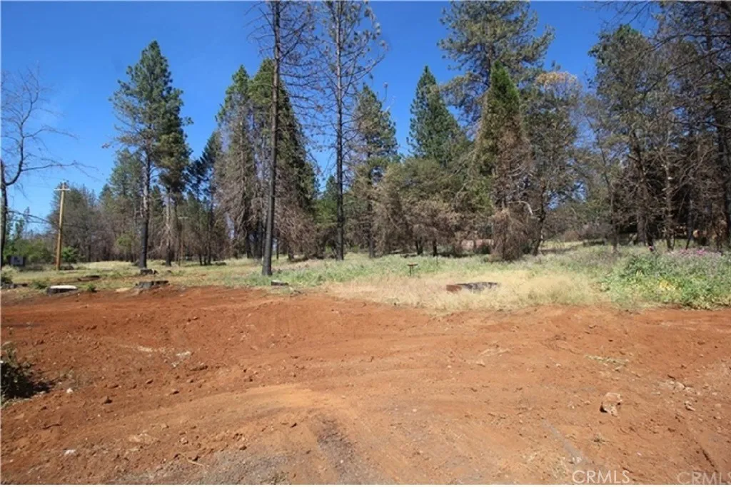 8746 Skyway, Paradise, CA 95969 photo 2