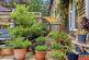 Additional image 27 of Thorpe Crescent, London