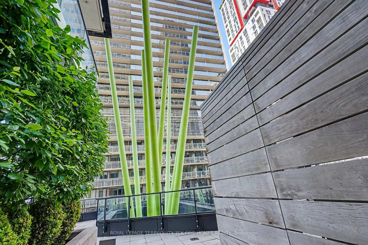Additional image 19 of 125 Peter Street 2703