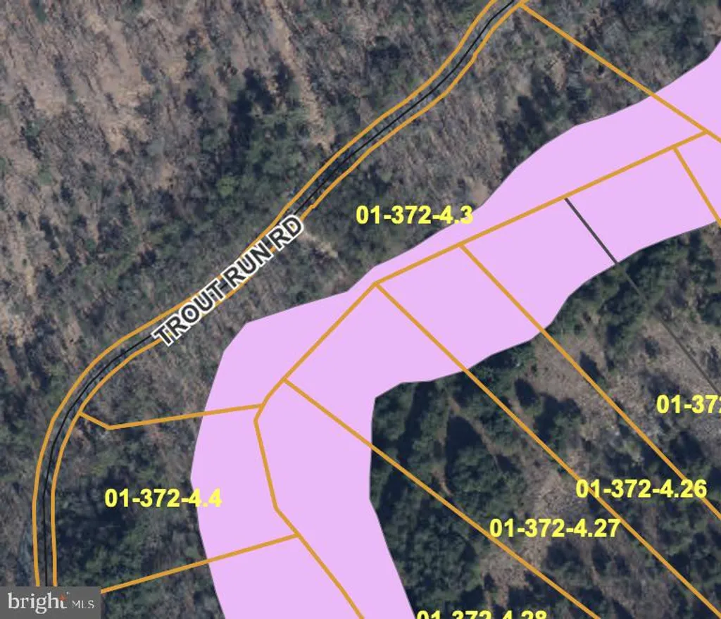 Lots 1 & 2 Trout Run Road, Wardensville, WV 26851