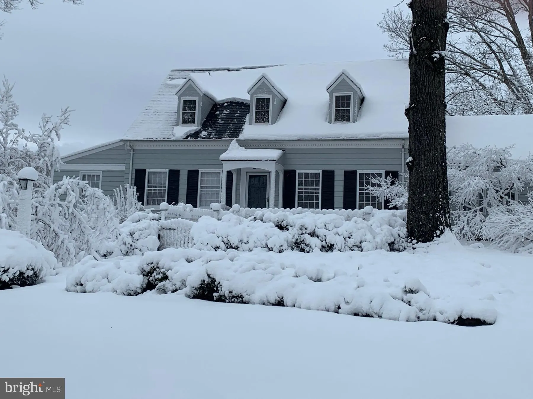 Additional image 145 of 324 N Blue Ridge Turnpike, Madison, VA 22727
