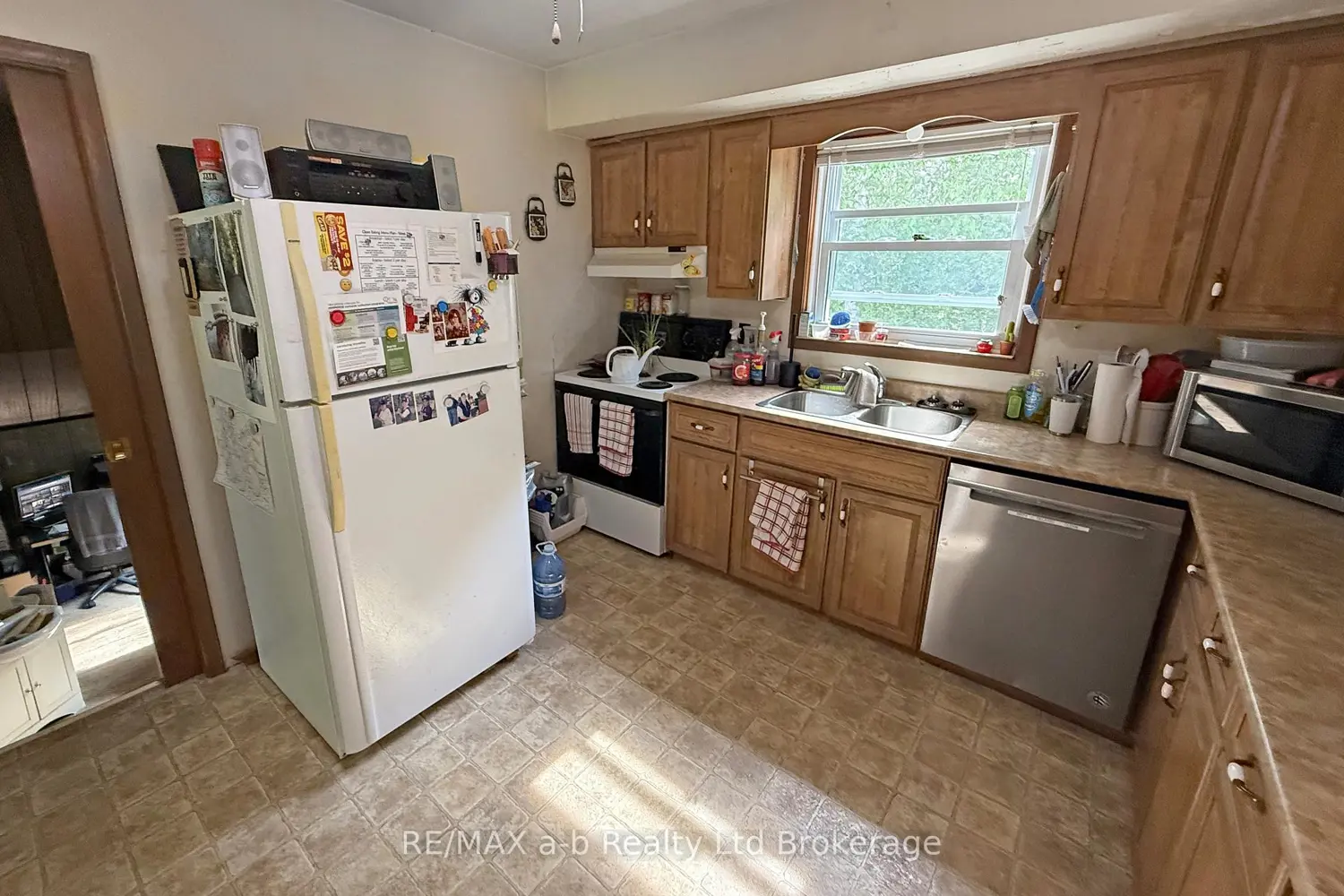 Additional image 8 of 213 Belgrave Street