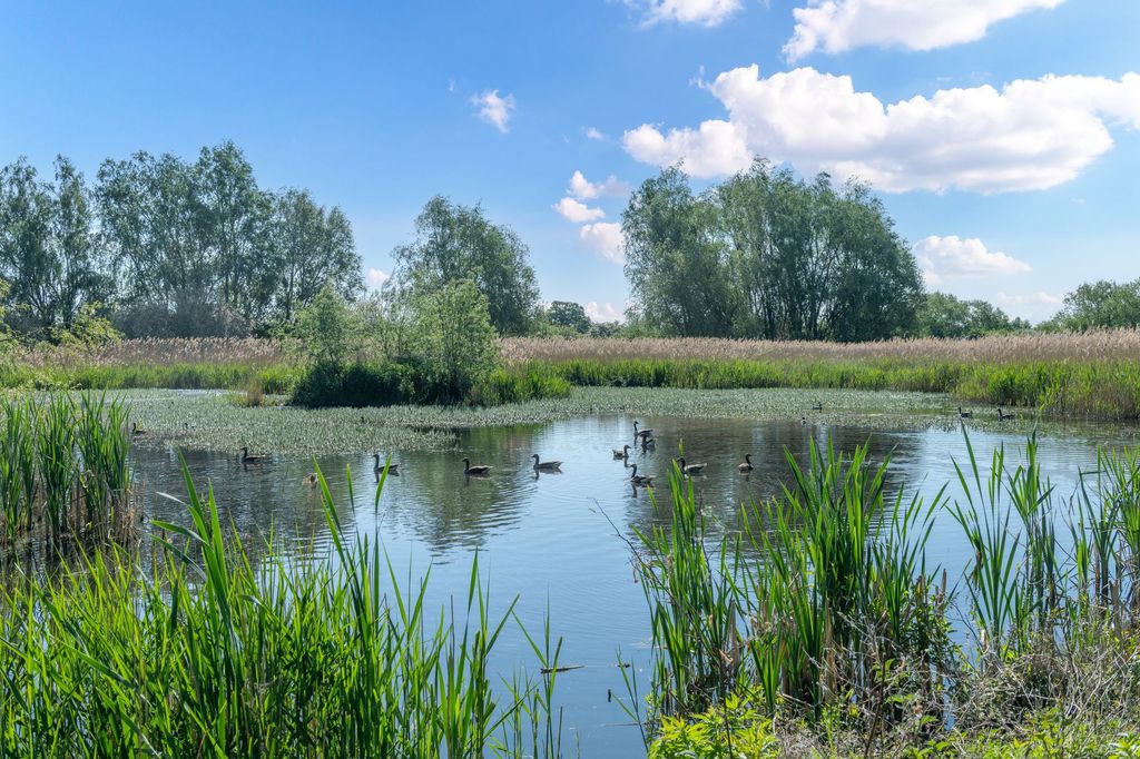 Land for saleBarway Road, Barway CB7