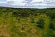 Additional image 25 of Dymock Road, Ledbury, Herefordshire, HR8