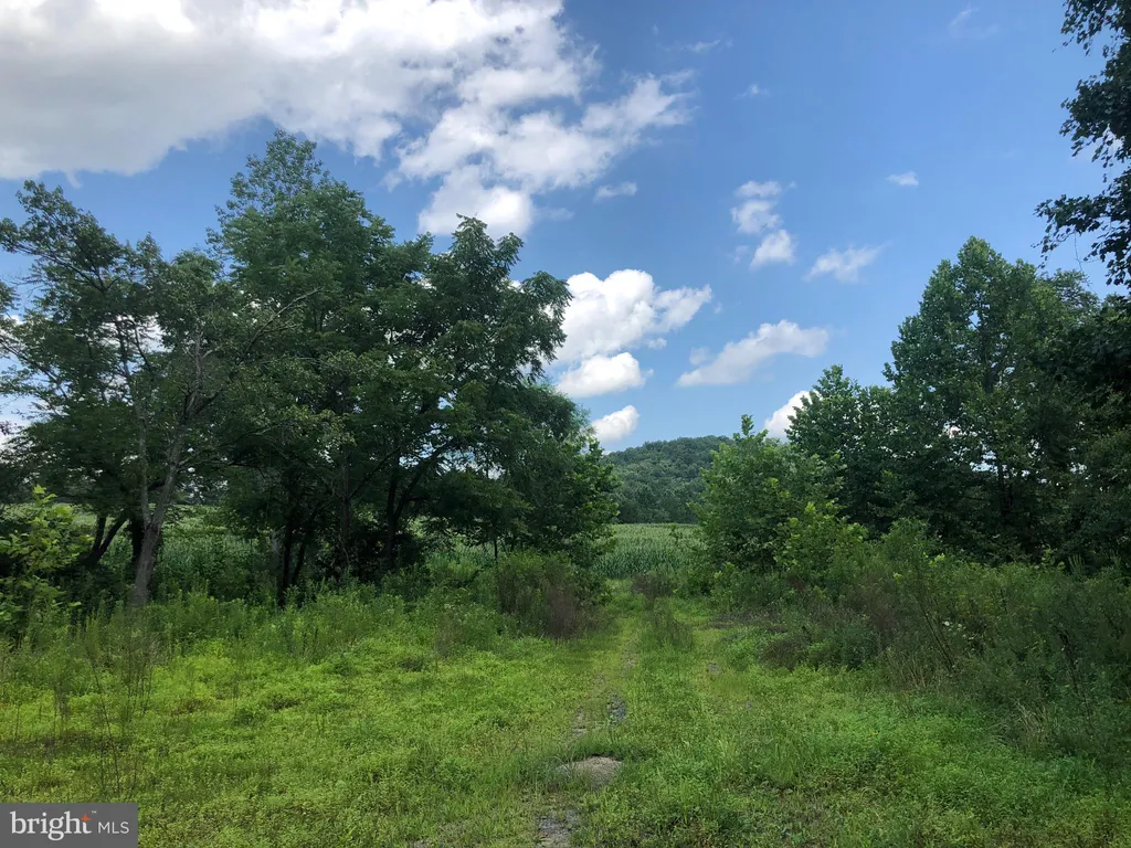 TBD Orange Rd., Aroda, VA 22709 photo 4