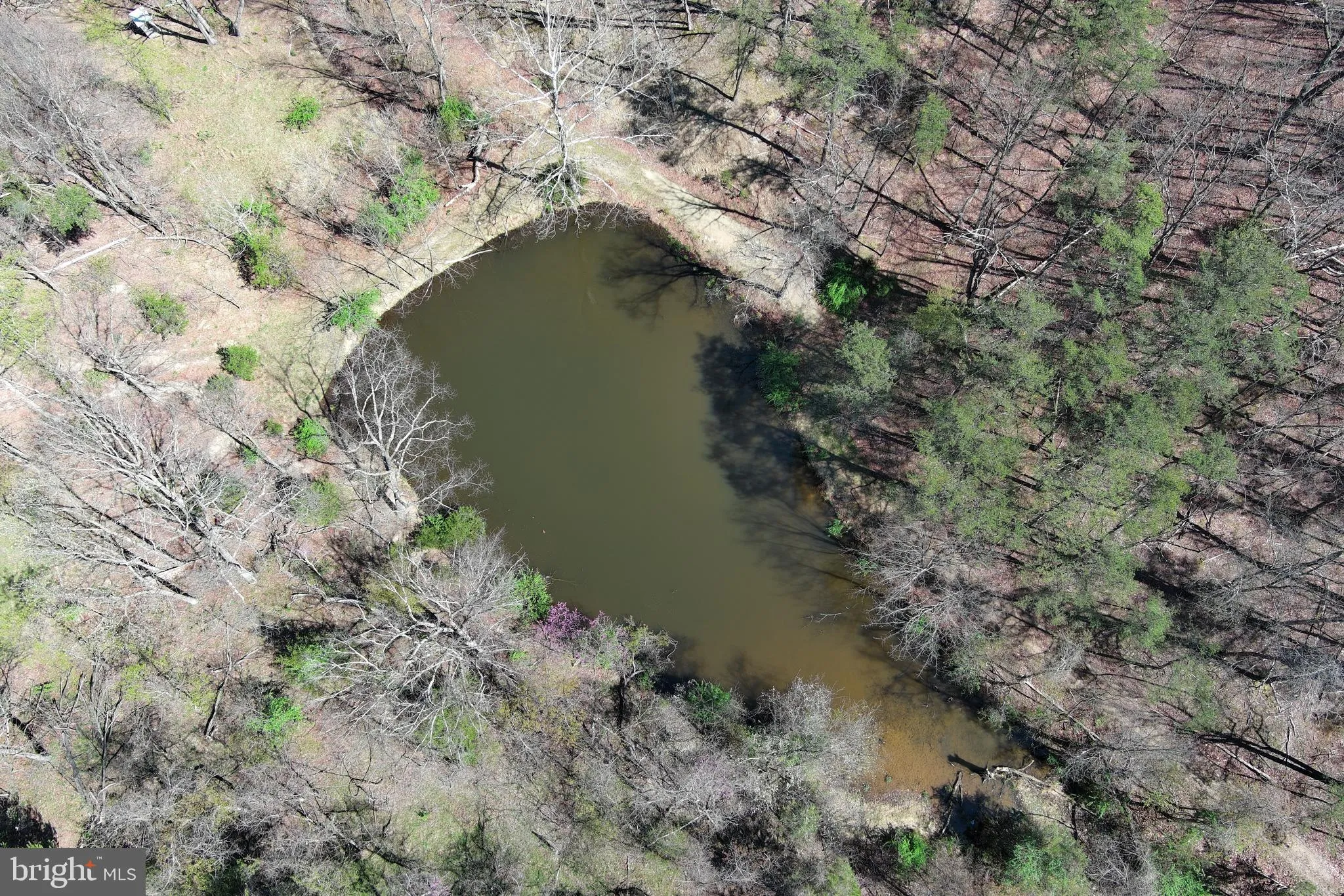 Additional image 282 of 453 Wheaton Drive, Purgitsville, WV 26852
