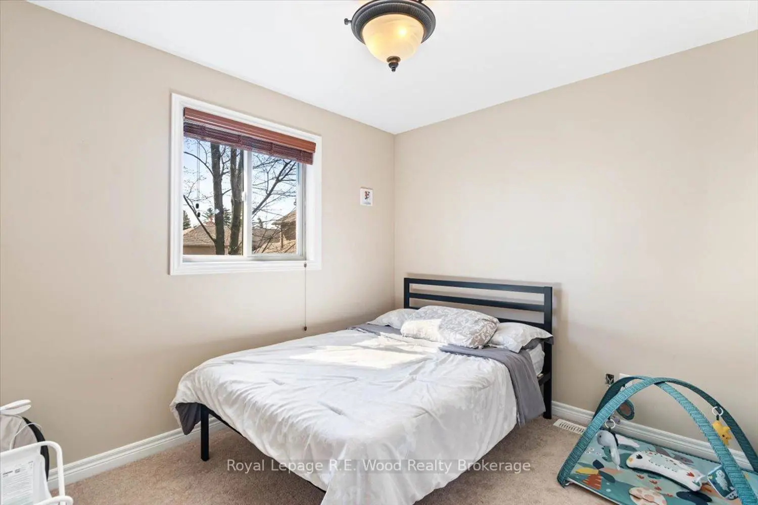 56 Wintergreen Crescent photo 4
