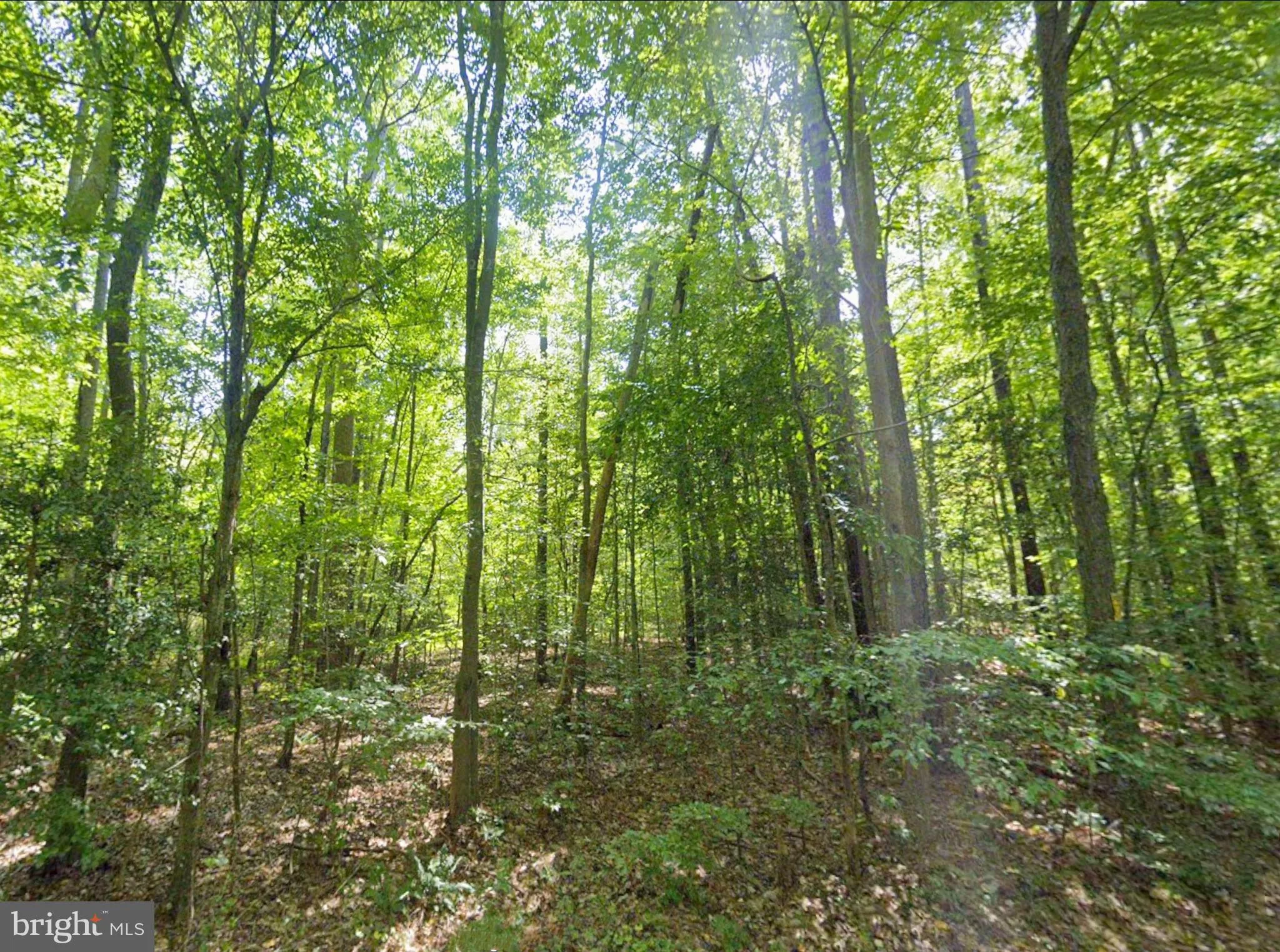 Additional image 22 of 8944 Jessie Dupont Memorial Highway, Kilmarnock, VA 22482