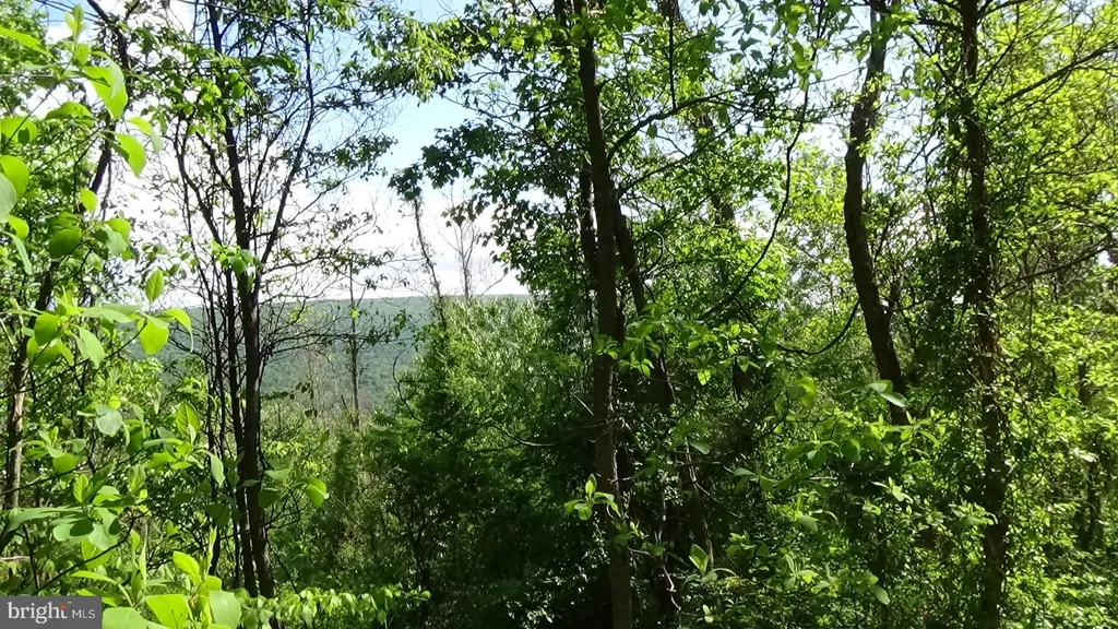 Valley View Dr, Landisburg, PA 17040