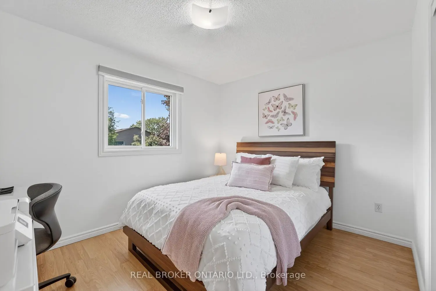 128 Olive Street photo 5