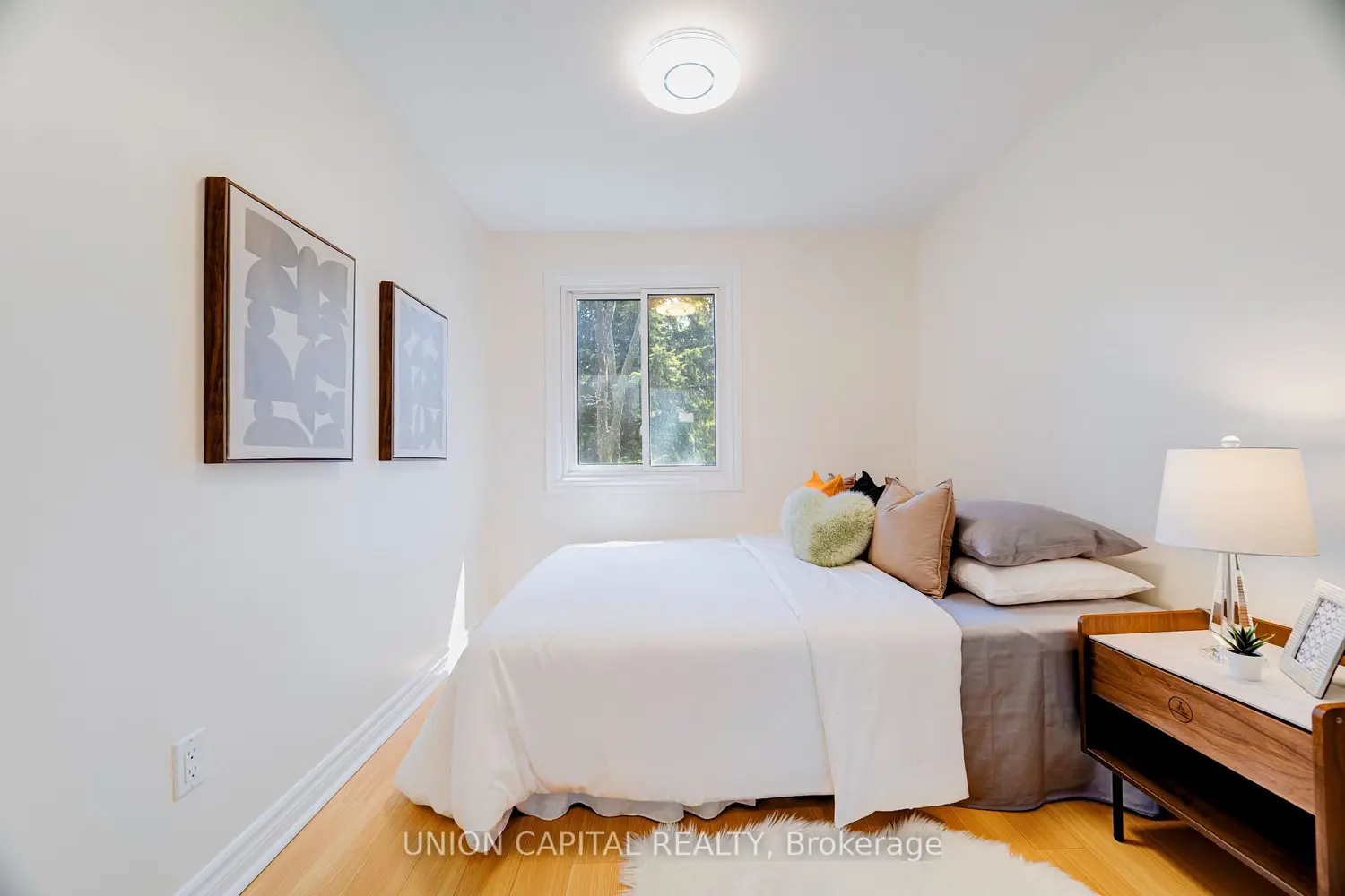 Additional image 13 of 43 Purple Sageway 56