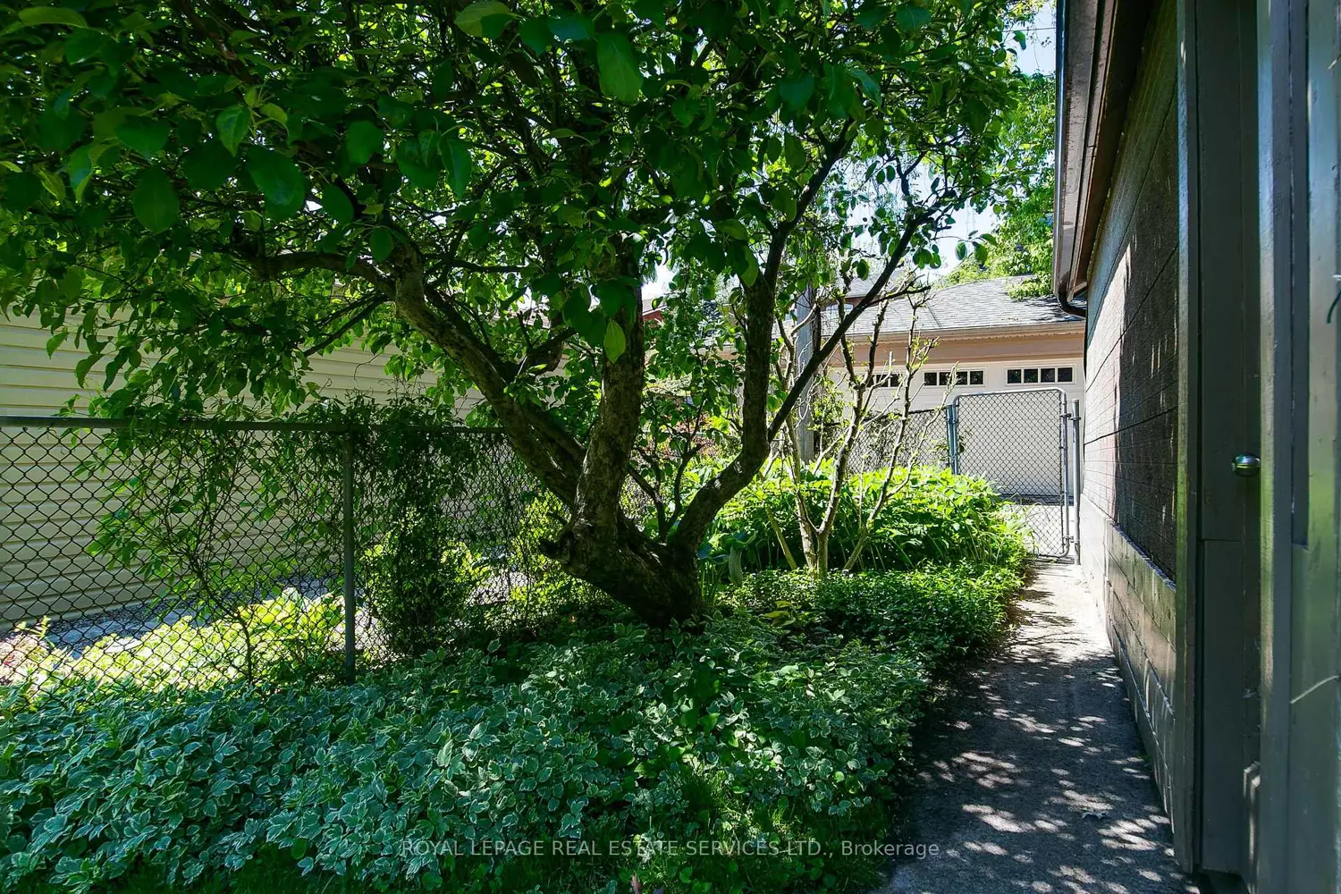 Additional image 19 of 490 Willard Avenue