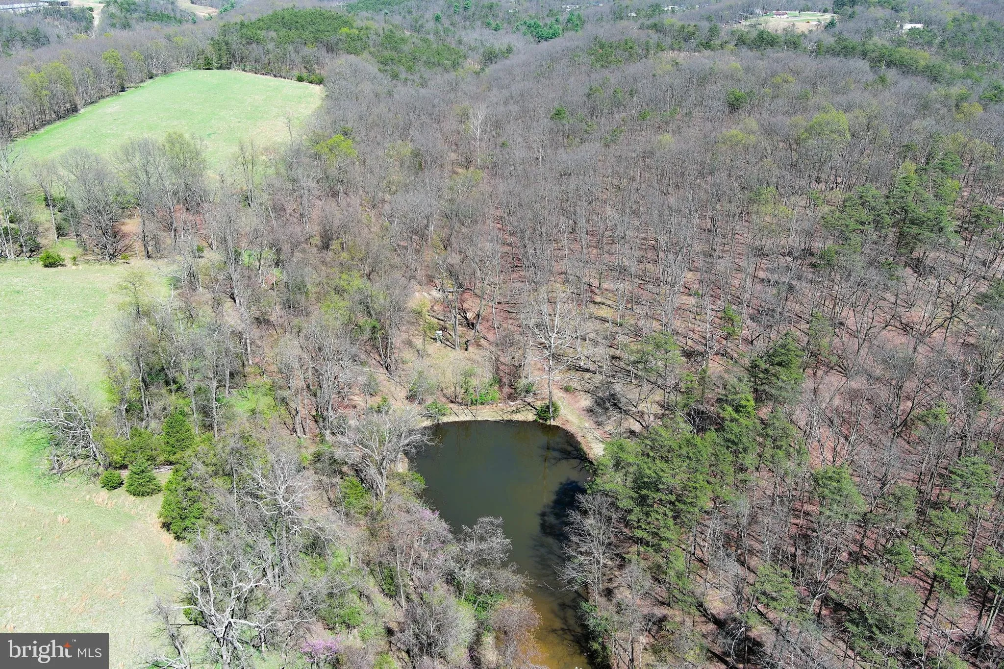 Additional image 280 of 453 Wheaton Drive, Purgitsville, WV 26852