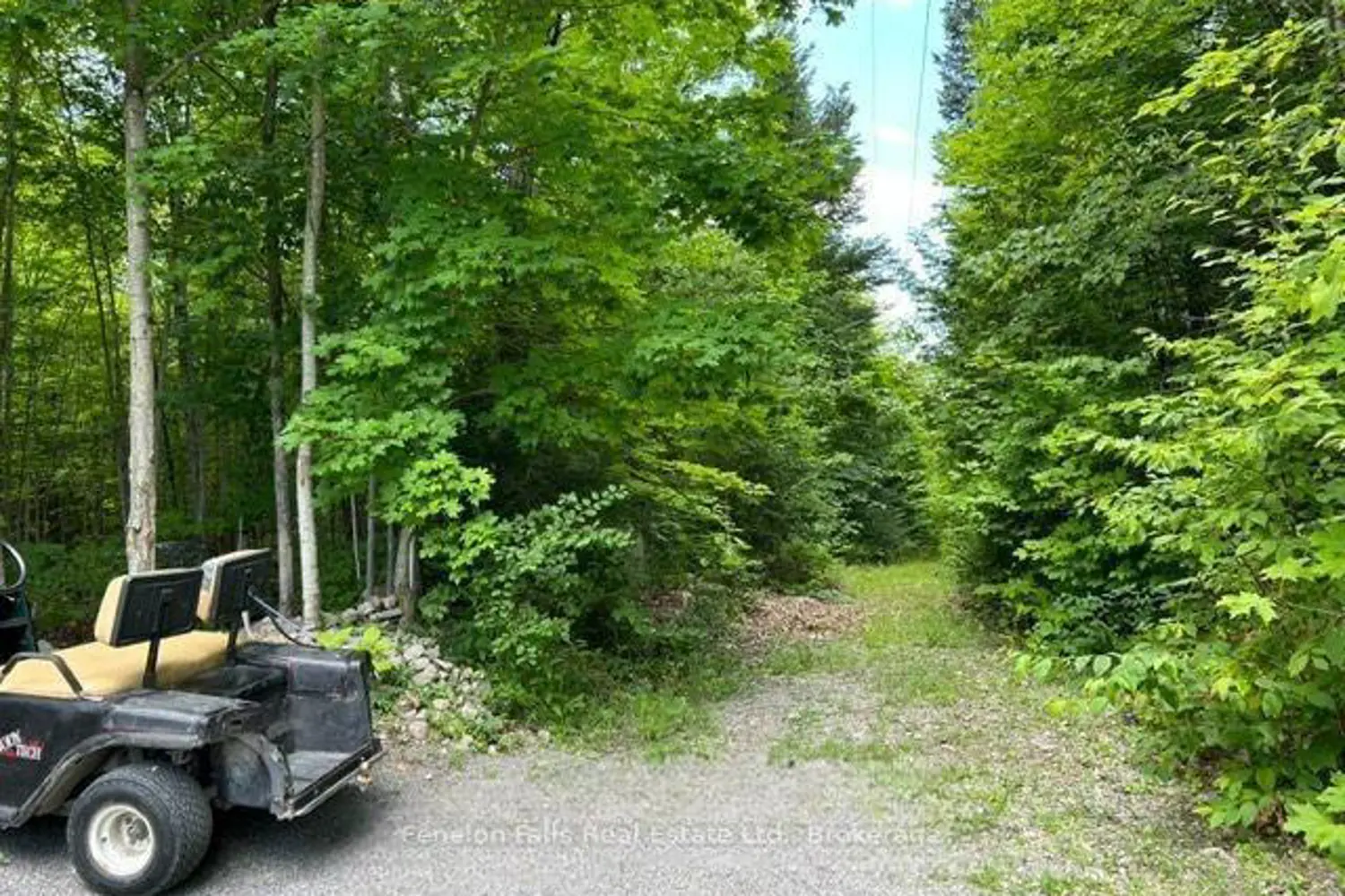 Additional image 14 of 1802 County Road 121 Road Lot 312