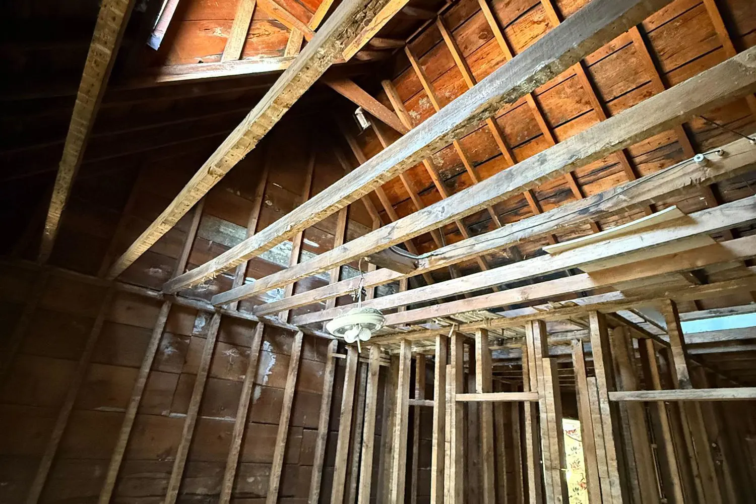 Additional image 6 of 106 Donlands Avenue