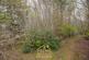 Moray Park Gardens, Inverness IV2 photo 5