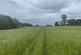 Alveley, Bridgnorth, WV15 6EP photo 3