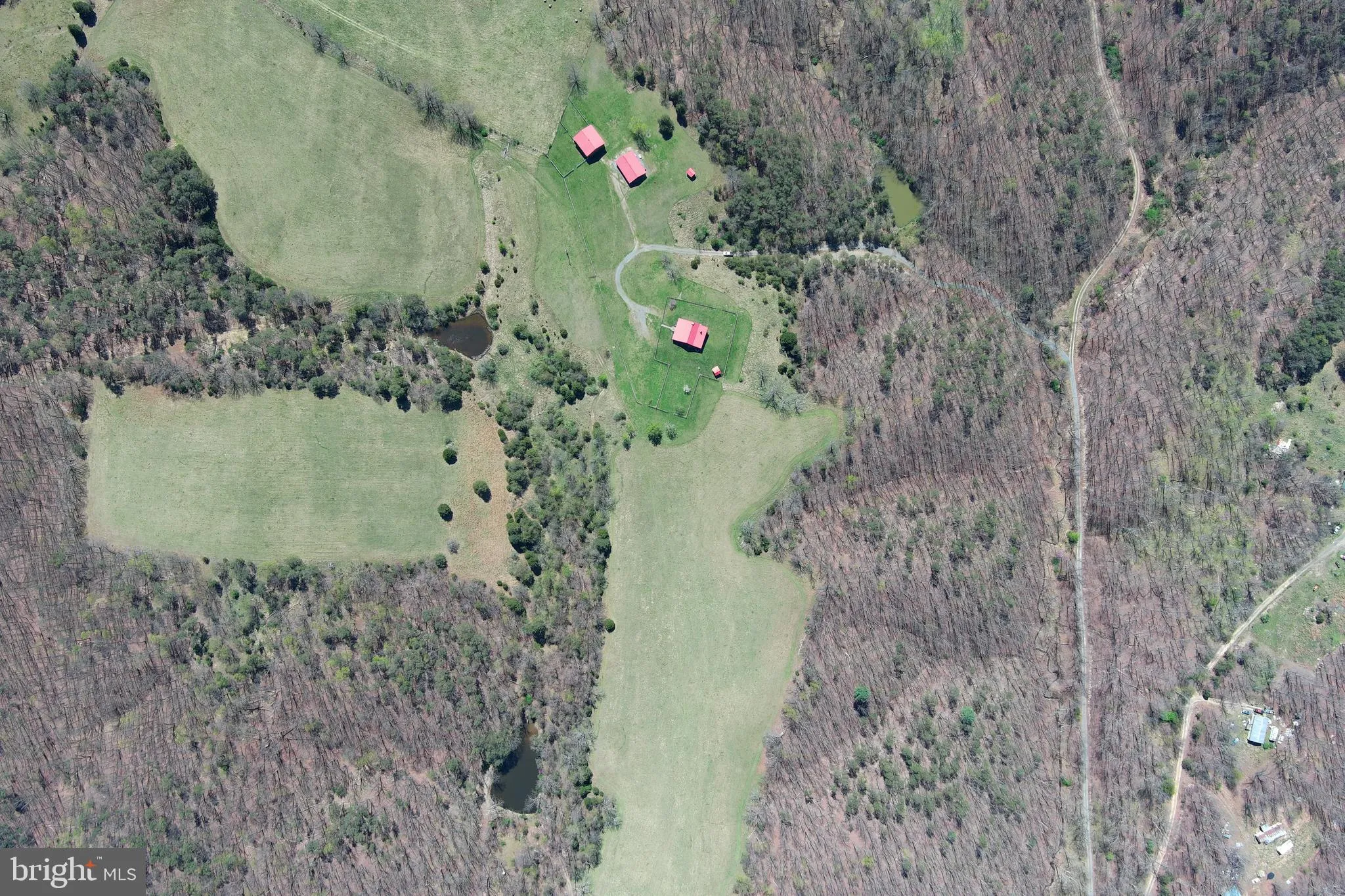 Additional image 296 of 453 Wheaton Drive, Purgitsville, WV 26852