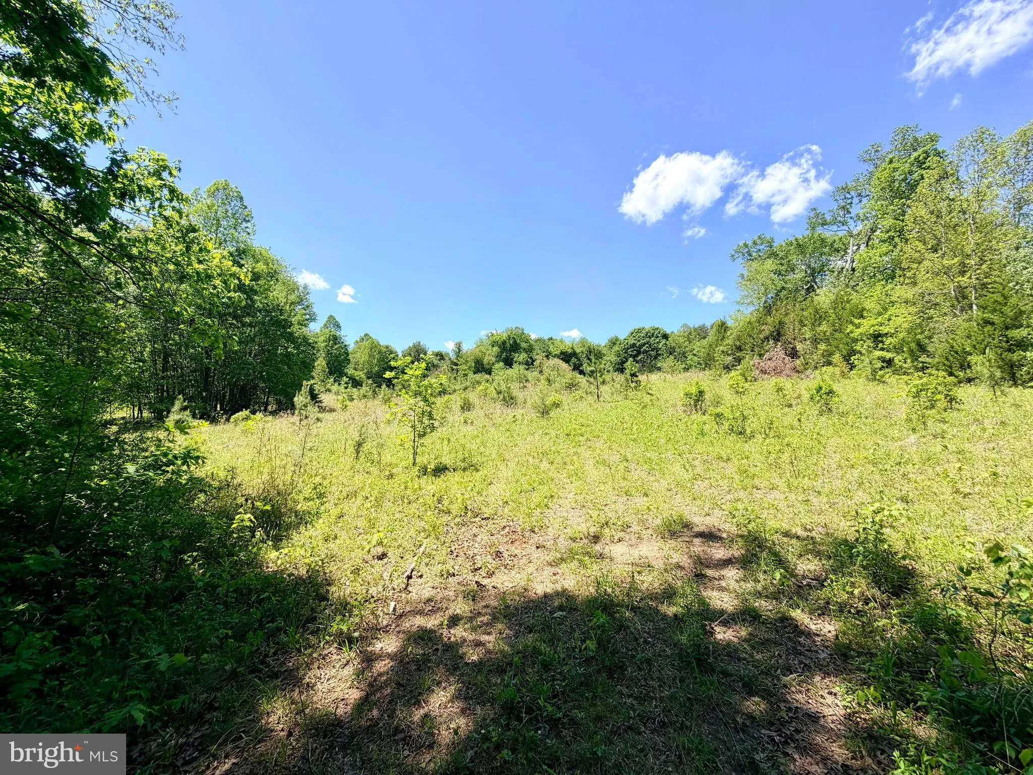 Additional image 9 of Lot 5 Autumn Ridge Lane, Unionville, VA 22567