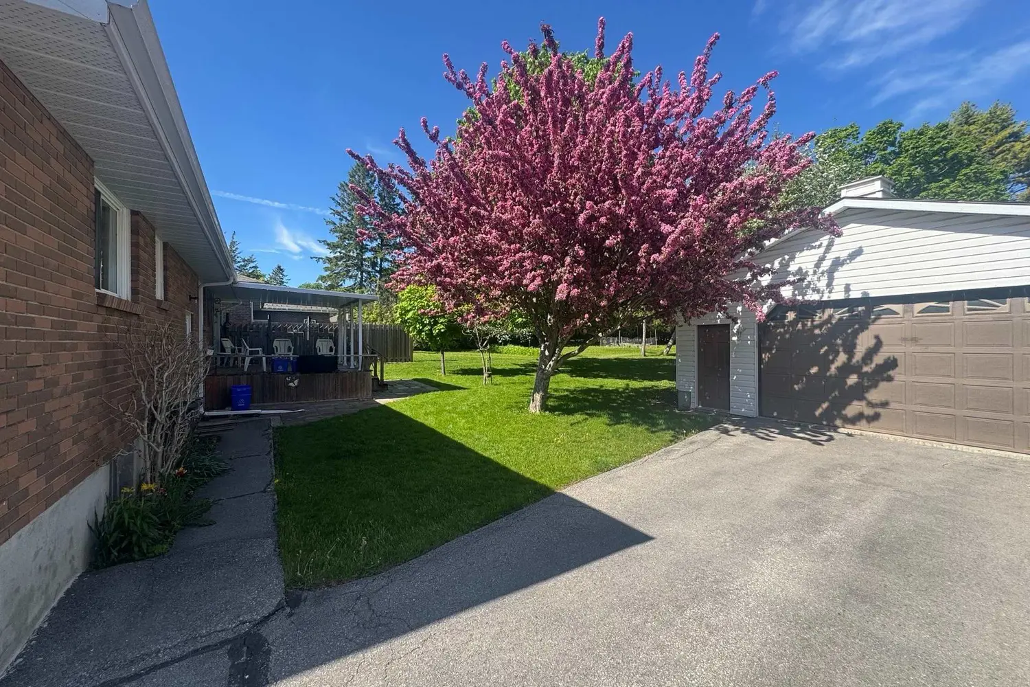63 Gilbert Street photo 5