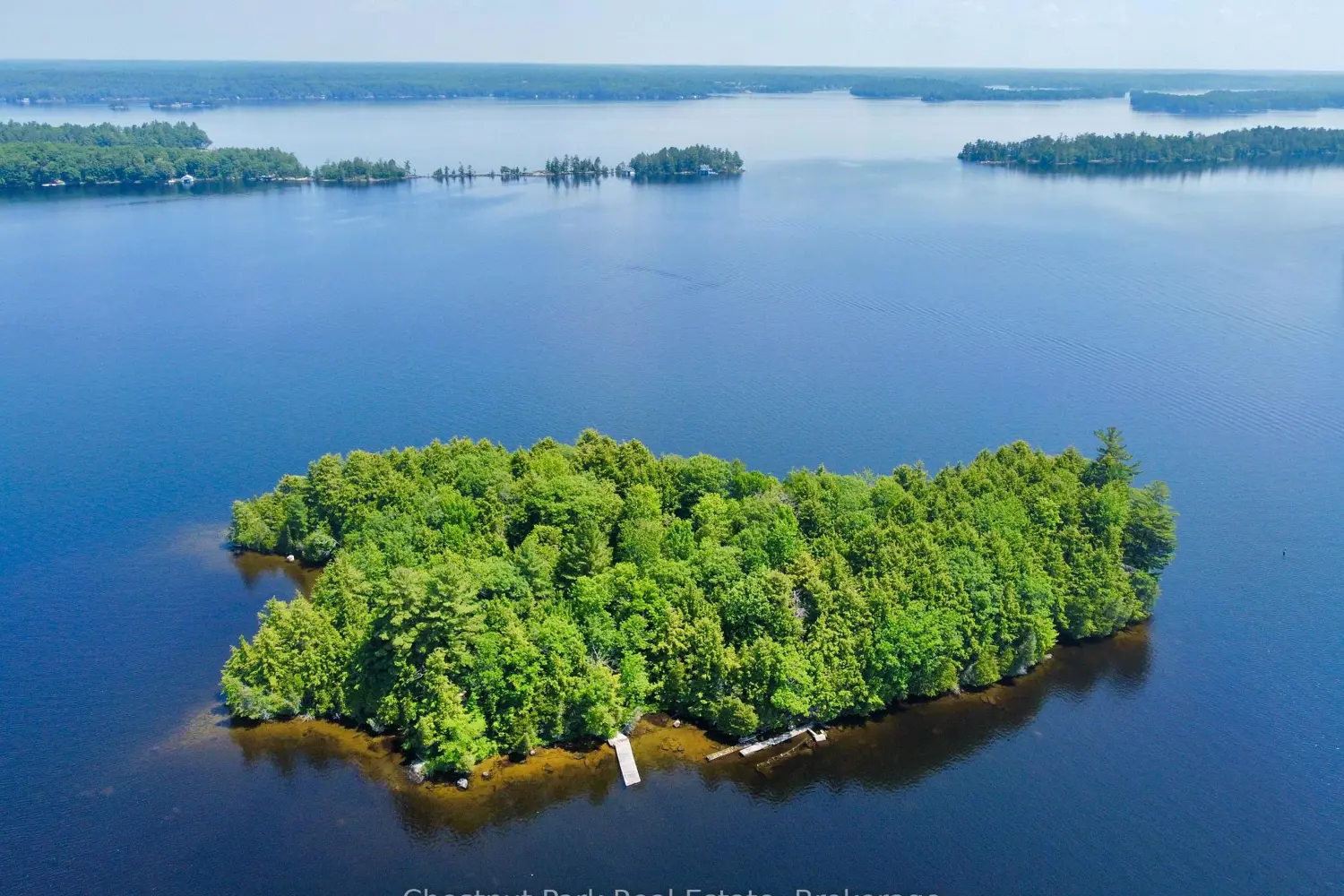 1 Cedar Island photo 5
