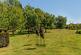 Additional image 41 of Birches Lane, Gomshall