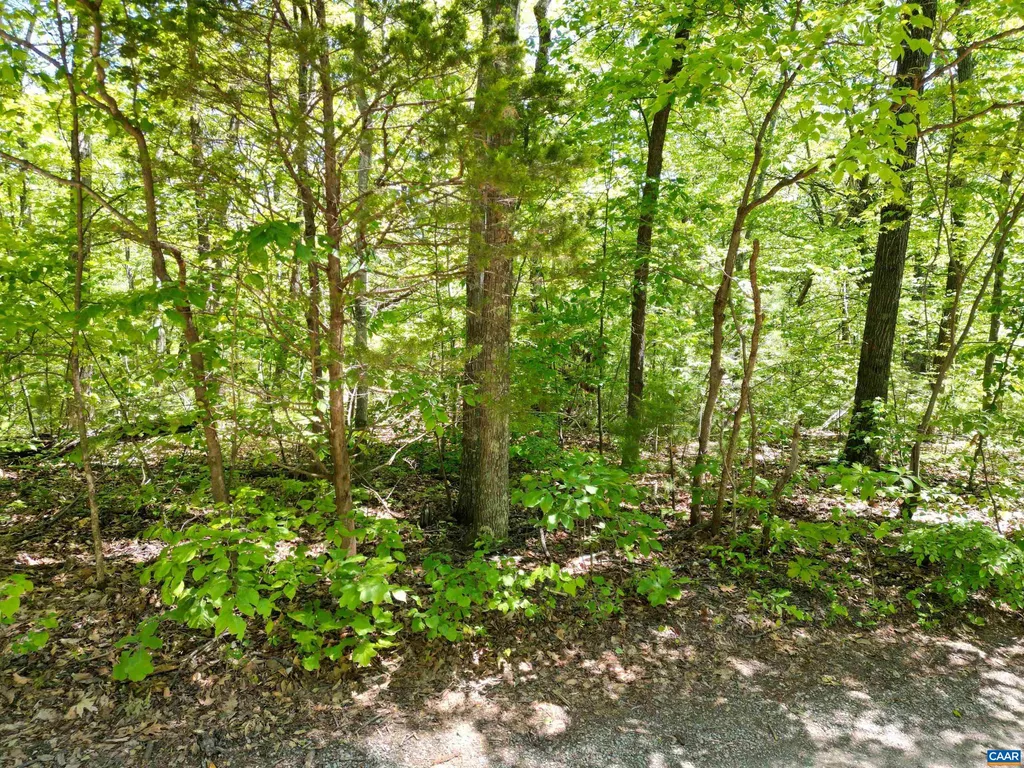 Pine Hill Dr, Stanardsville, VA 22973