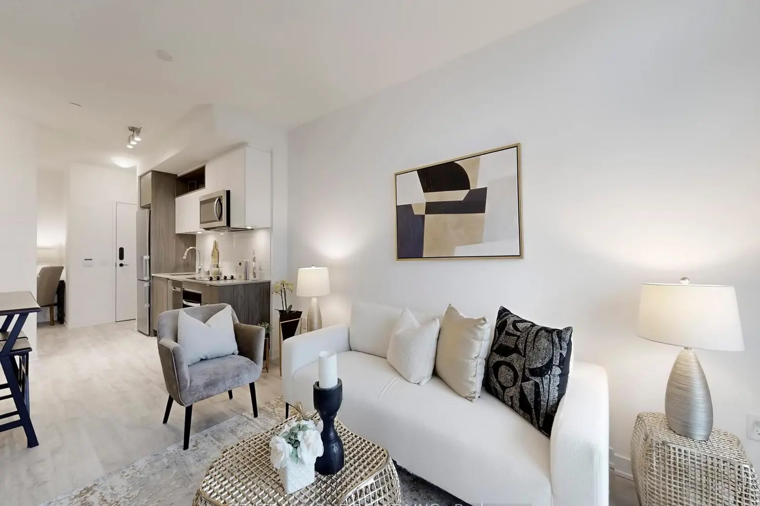 Additional image 8 of 100 Dalhousie Street 3908