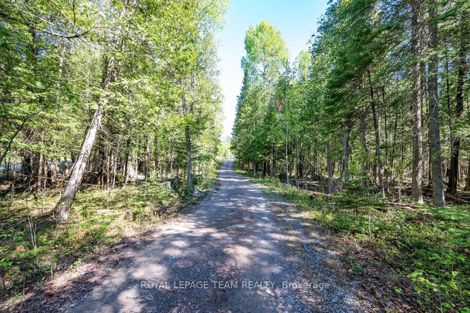 41 Harrison Trail
