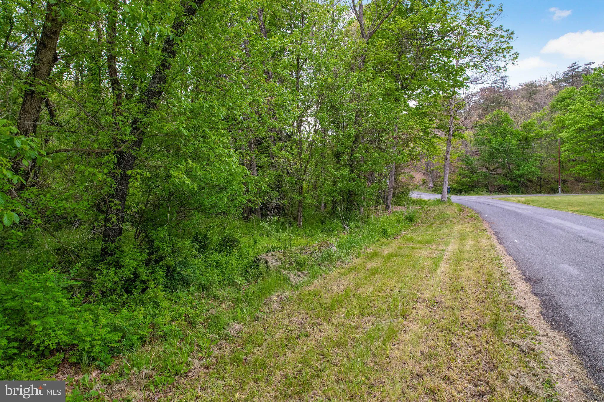 Additional image 20 of Bear Hill Road SE, Oldtown, MD 21555