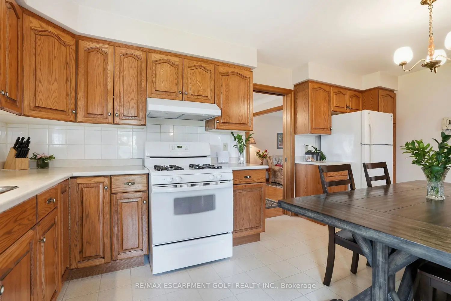 11 Greenbriar Court photo 3