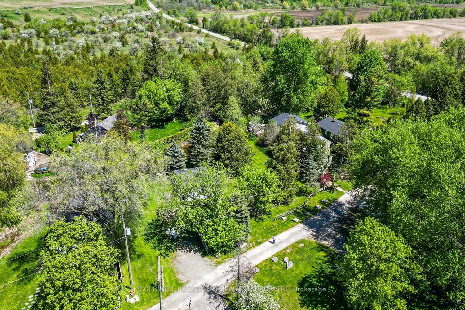 8480 Nottawasaga River Road photo 5