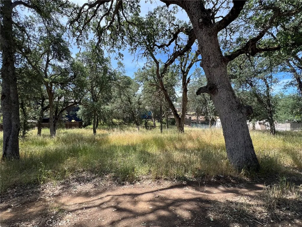 16219 36th Avenue, Clearlake, CA 95422