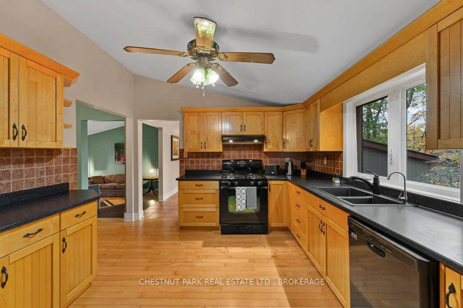 1190 Alamo Lane photo 5