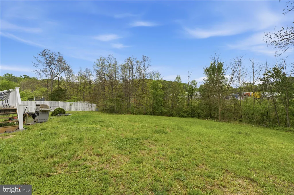 Additional image 59 of 46 Willowby Court, Bunker Hill, WV 25413