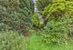 Additional image 13 of Brooklands Crescent, Gedling, Nottingham