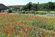 Additional image 19 of Court Ord Road, Rottingdean , East Sussex, BN2