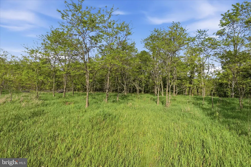 Additional image 17 of Nathaniel Drive, Romney, WV 26757