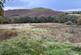 Additional image 18 of Cellan, Lampeter, SA48