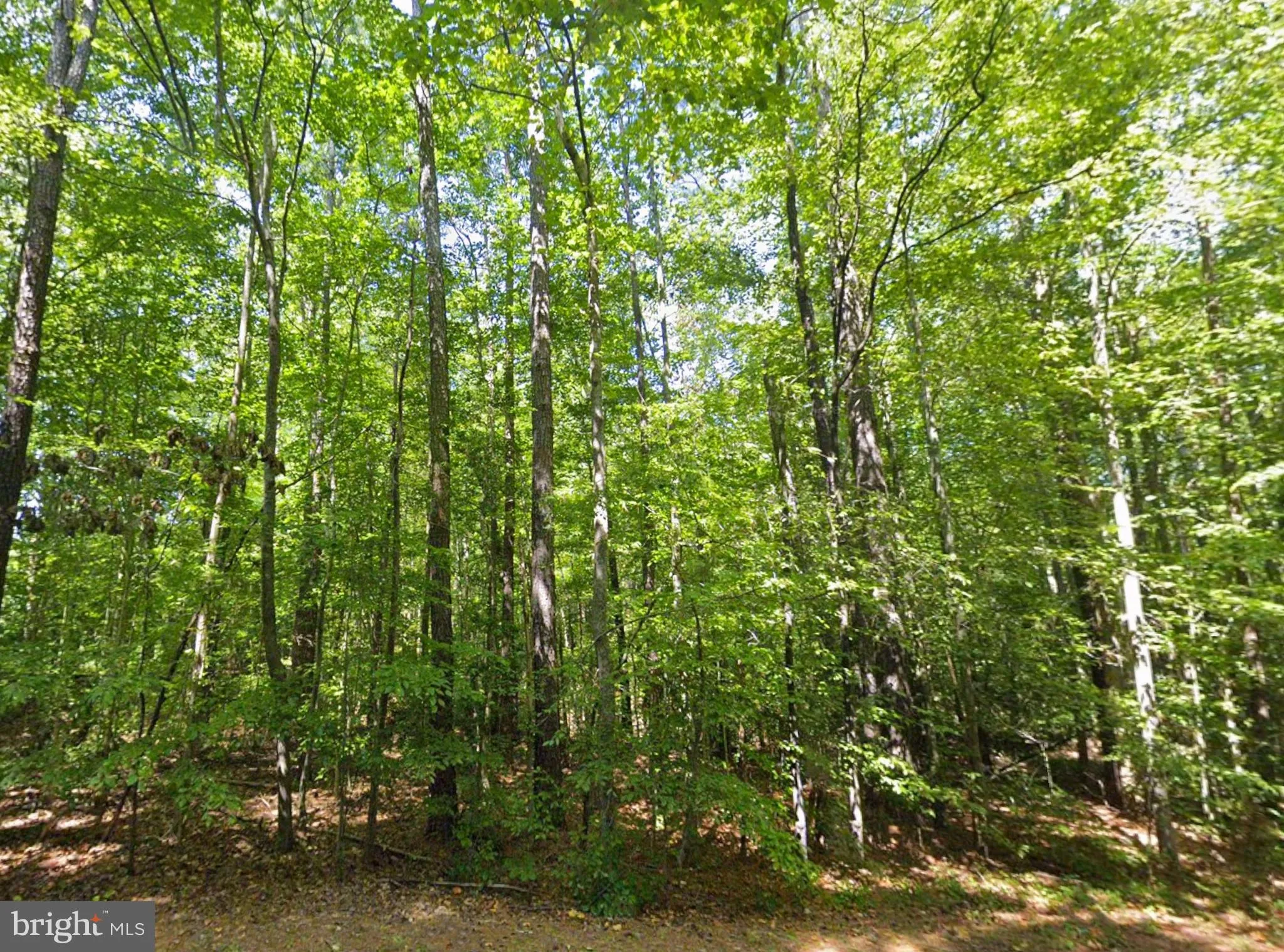 Additional image 15 of 8944 Jessie Dupont Memorial Highway, Kilmarnock, VA 22482