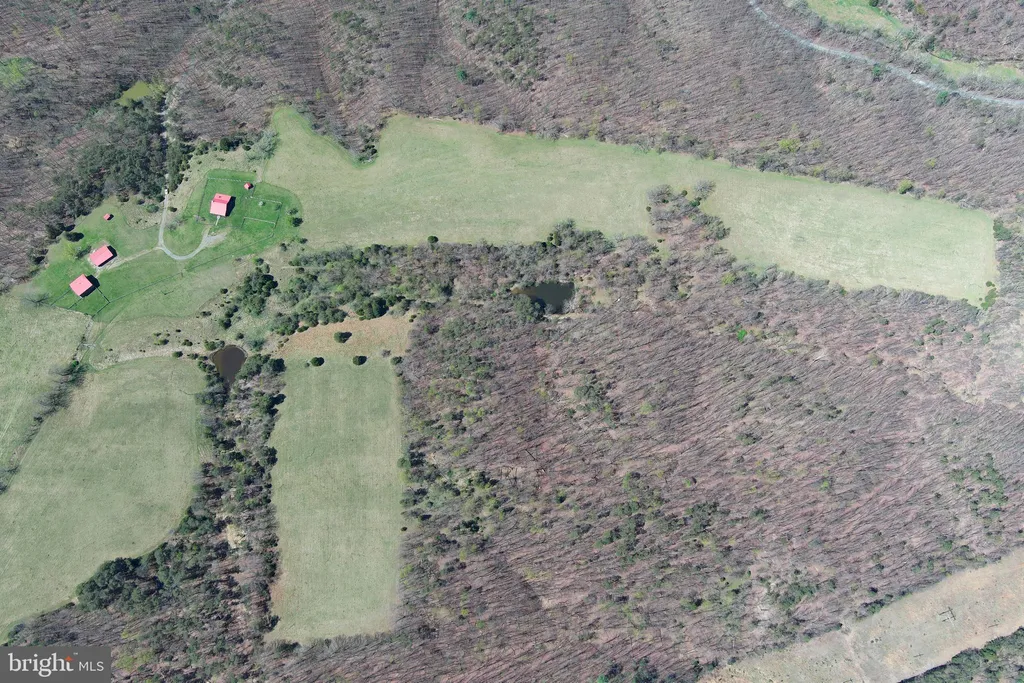 Additional image 146 of 453 Wheaton Drive, Purgitsville, WV 26852