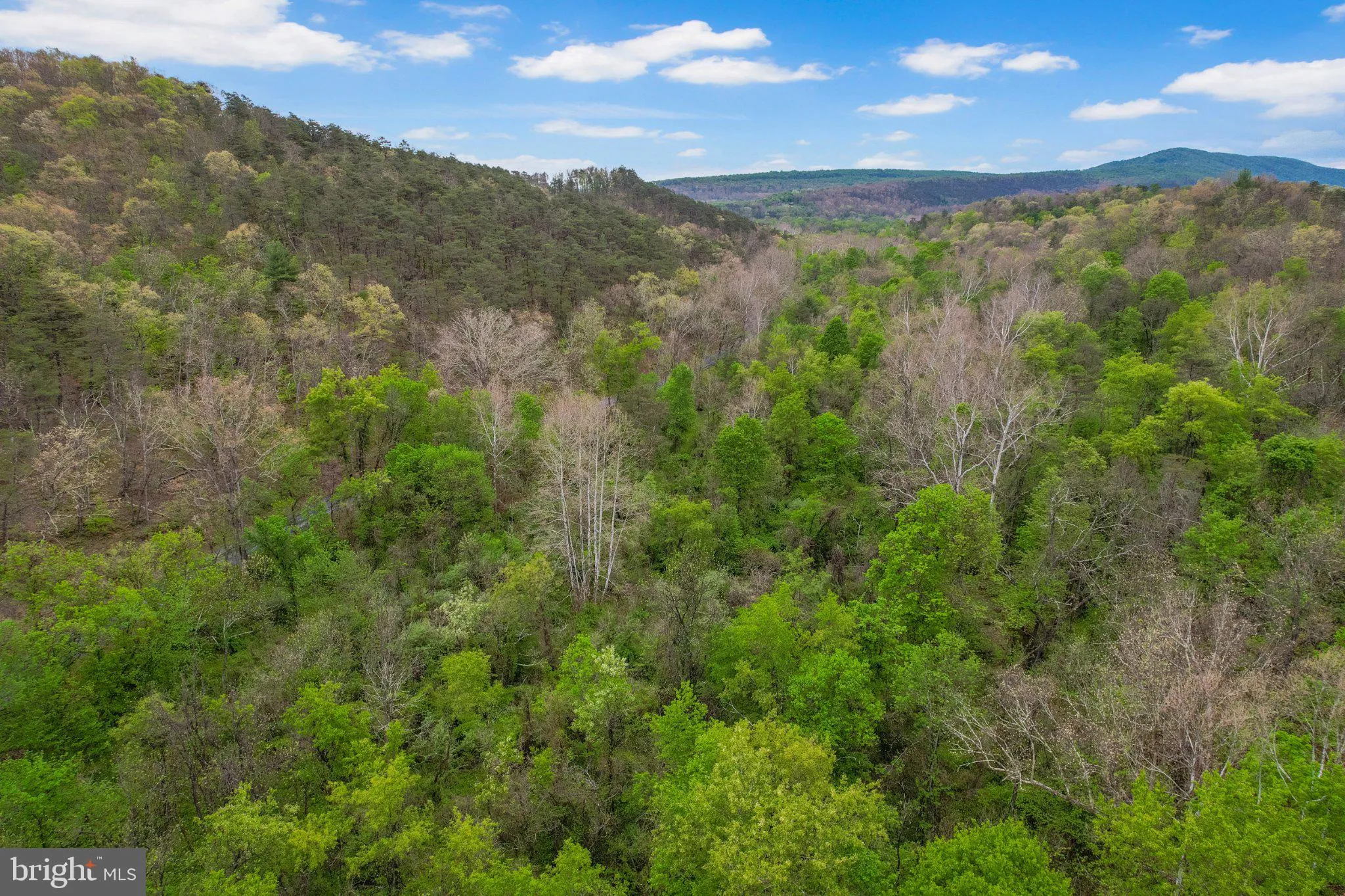 Additional image 30 of Bear Hill Road SE, Oldtown, MD 21555