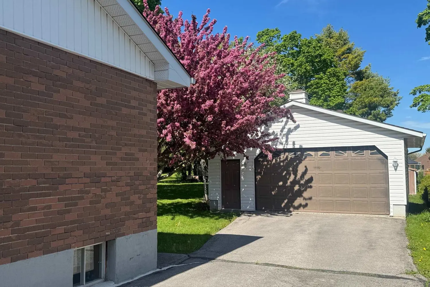 63 Gilbert Street photo 4