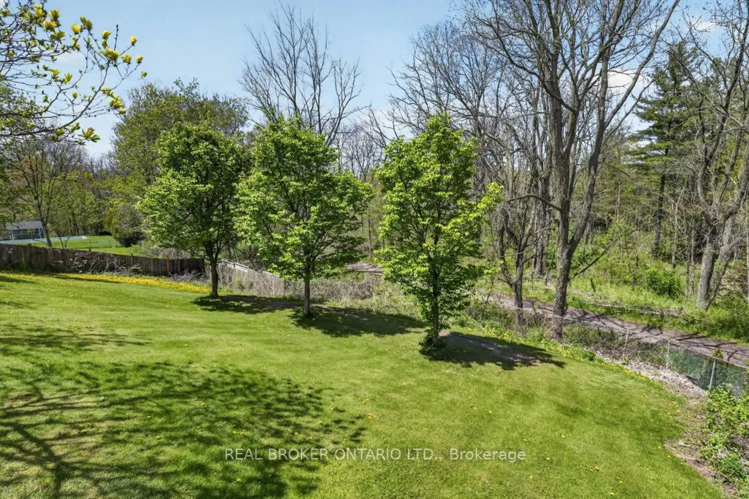 55 Sunrise Crescent photo 4