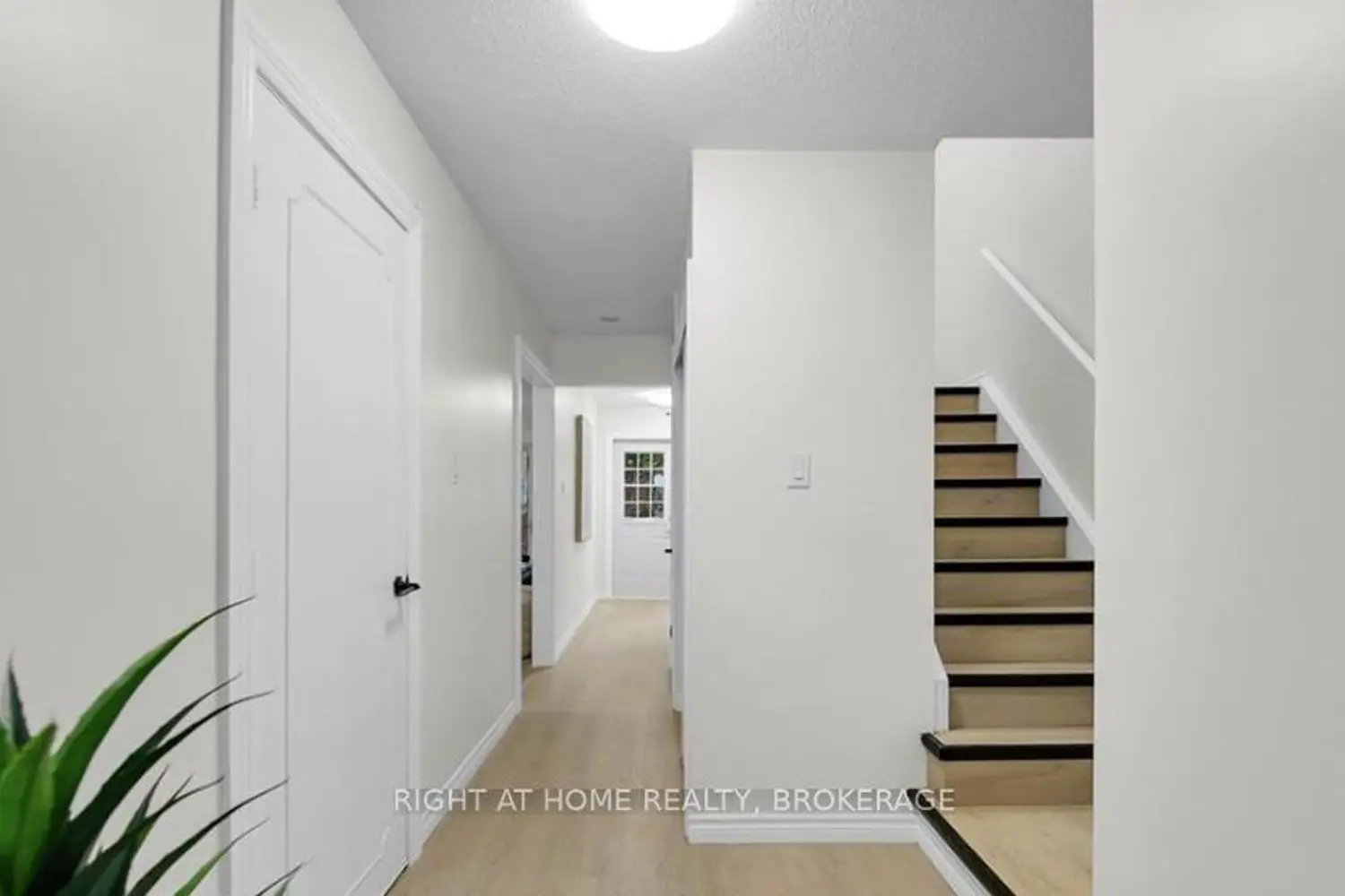 60 Charles Best Place photo 5